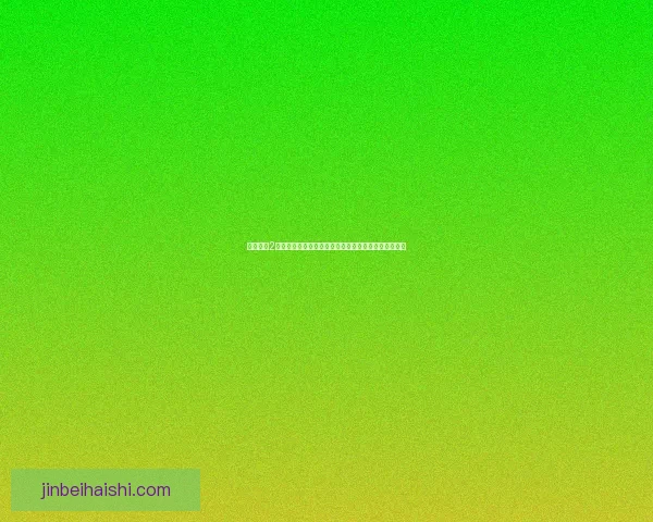 孤岛危机2中文补丁全解析与安装教程助你轻松体验完美游戏体验